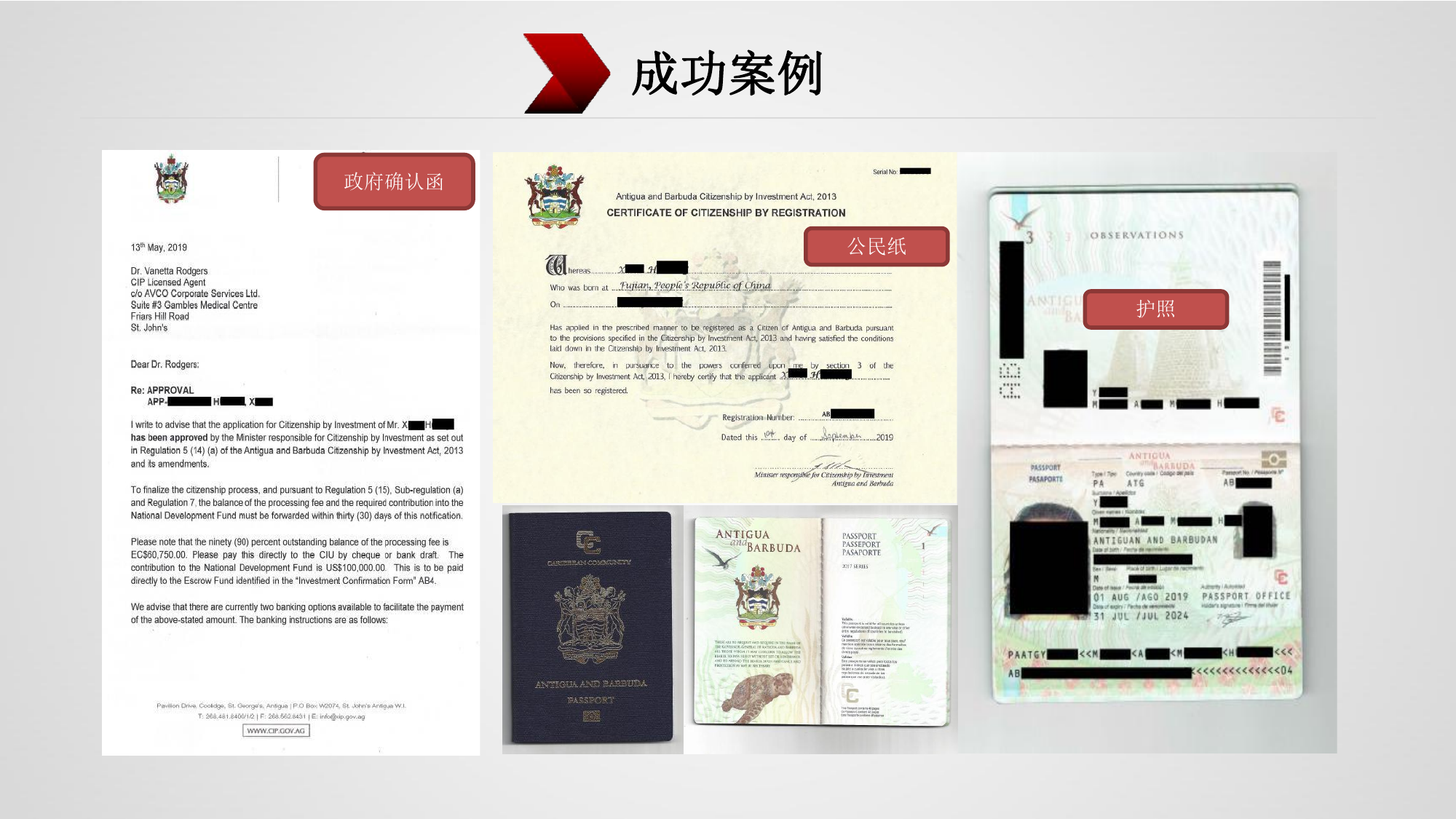 成功案例