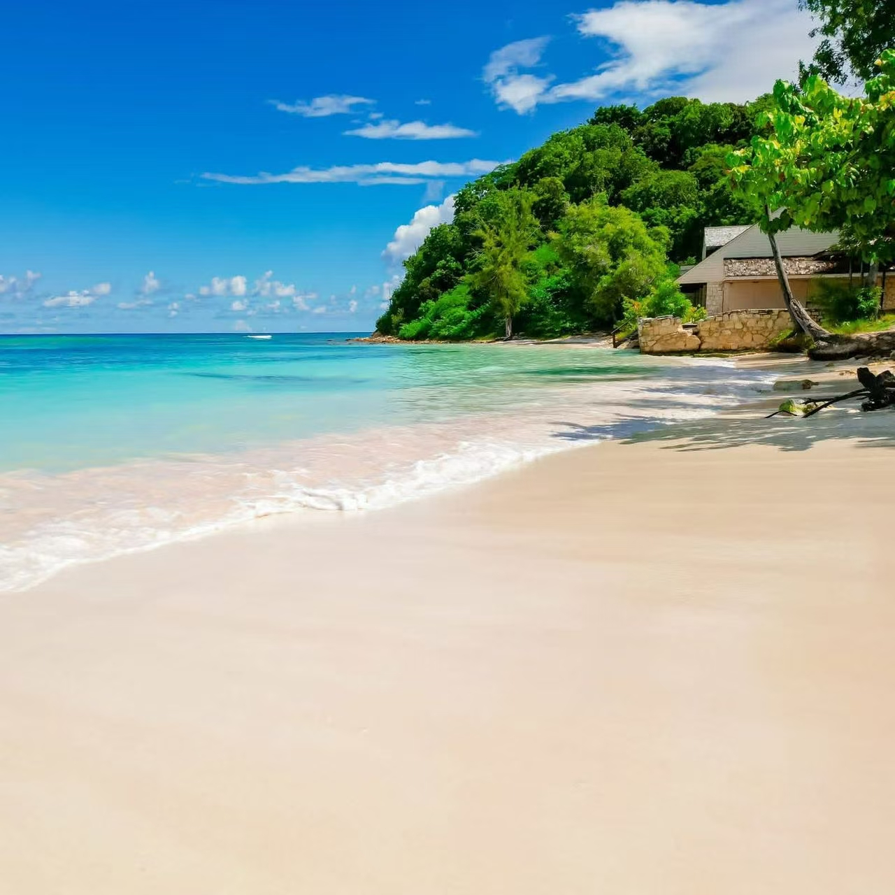 Antigua white-sand beach