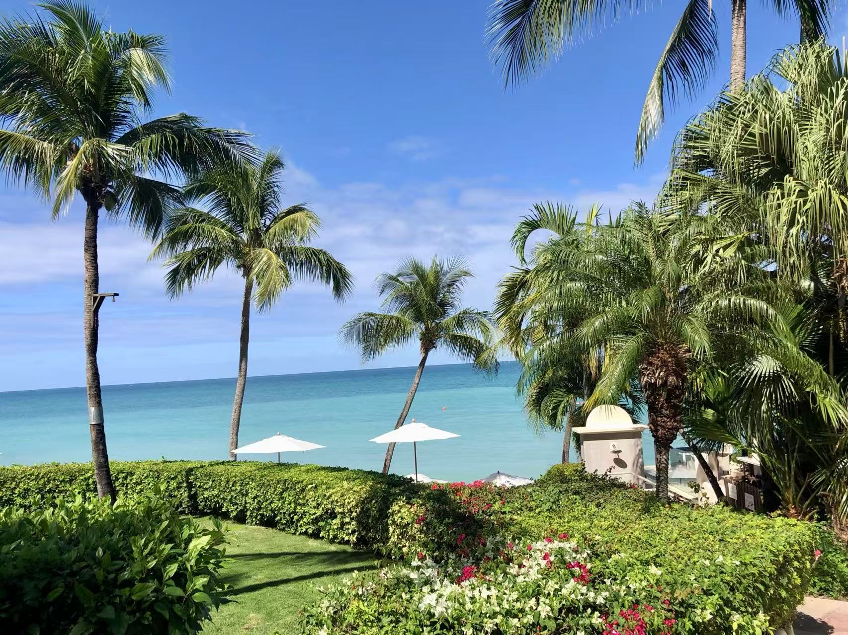 Antigua palm-lined sea view