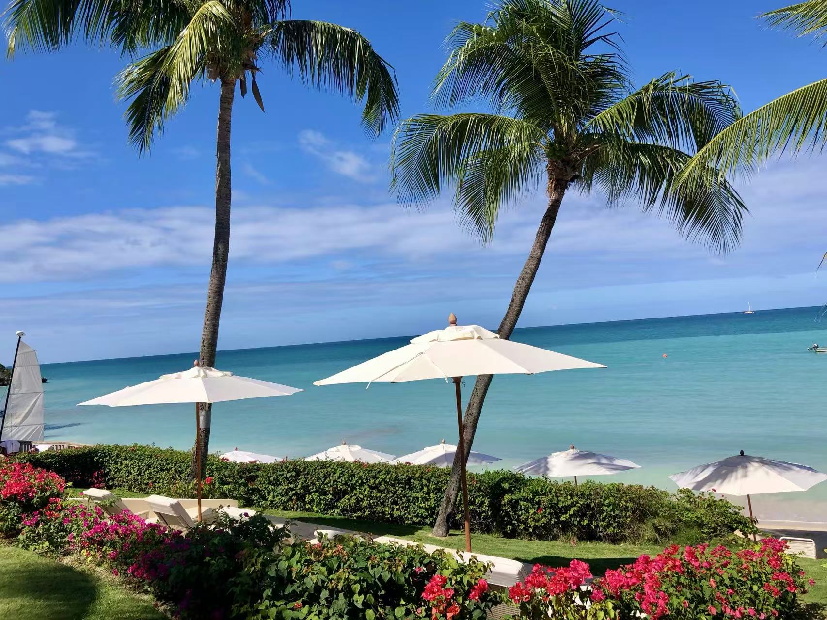 Hodges Bay palm-lined sea view